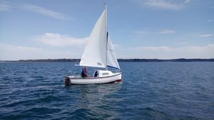 DSC_1417.JPG