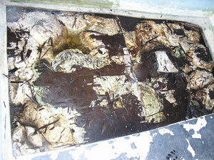 restauration 004.jpg