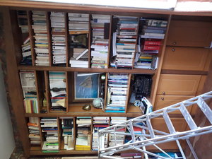 20200410_171026.jpg