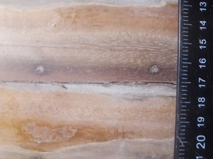 9 20200519_220752.jpg