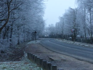 P1010848.JPG