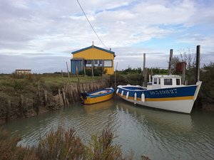 20171023_172820 (1).jpg