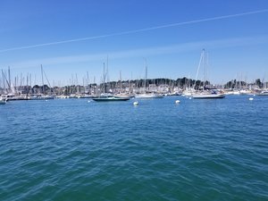 20200718_131157.jpg