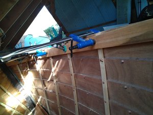 IMG_20200804_181000.jpg