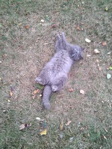 IMG_20200809_203347.jpg