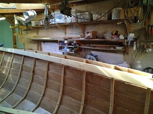 IMG_20200807_085416.jpg