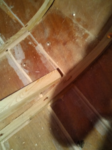 IMG_20201024_184434.jpg
