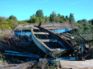KIF_1698.JPG