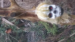 captain smith en colere.jpg