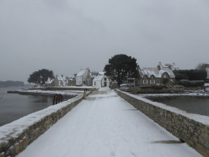 11 février la neige est arrivée (42).JPG