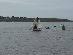 20210801_160717.jpg
