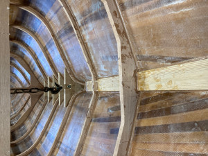 IMG_0481.jpg
