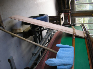 P1010006.JPG