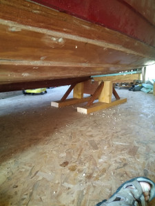 IMG_le cul soutenu .jpg