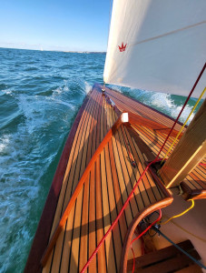 IMG_1201.jpg