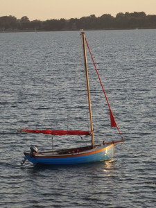 DSC03549 - Copie.JPG