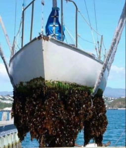 Capture d’écran 2024-03-13 à 18.55.19.png