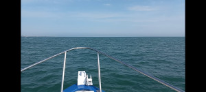 Screenshot_20240707_071701_Video Player.jpg