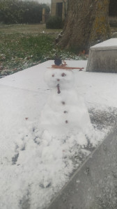 IMG_20251121_102159 bis.jpg